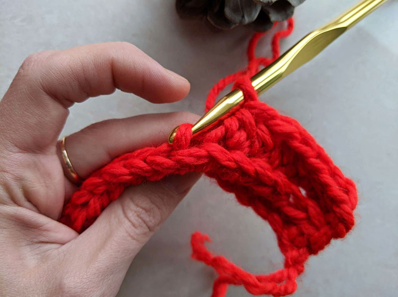 crochet through the back loop
