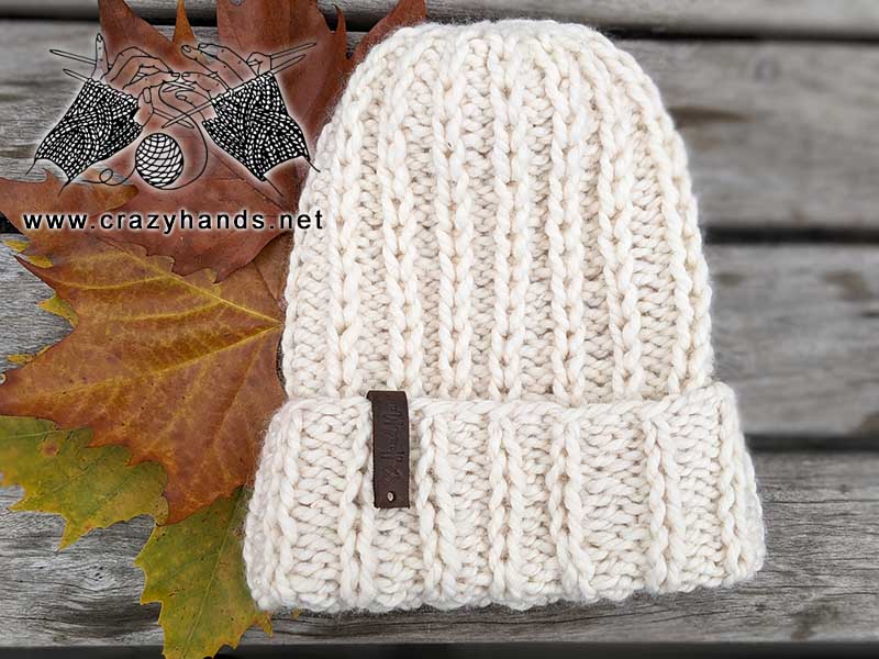 Royal Icing knit hat shot with fall leaves