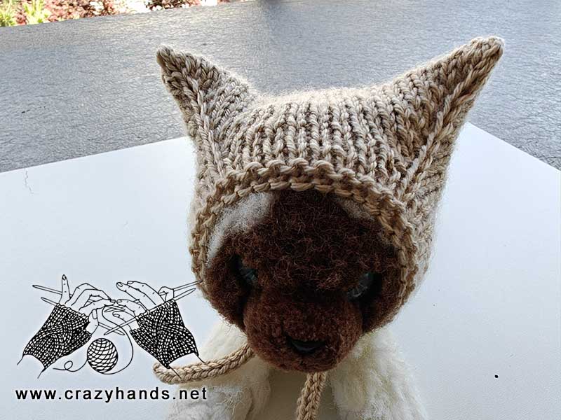 knit hat on a kitty toy - front-side view