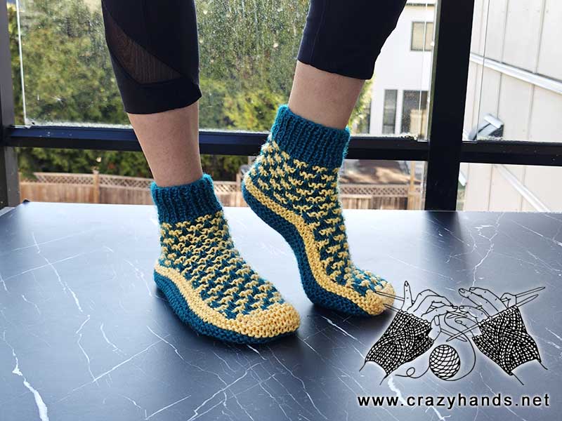 flat knit colorworks socks on the female model feet - front side view